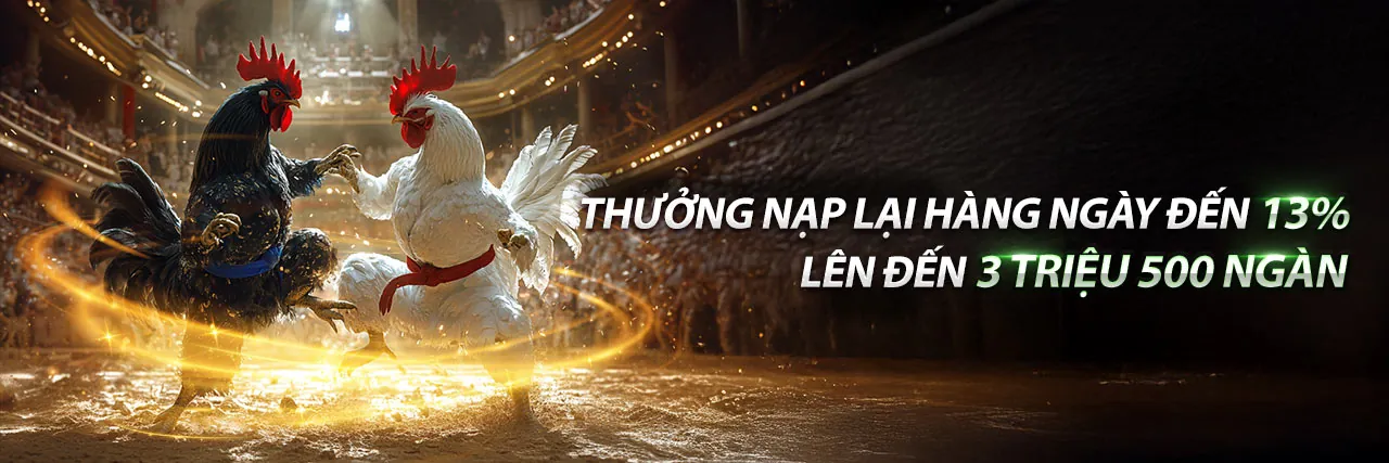 Đá Gà Trực Tuyến 13tr88
